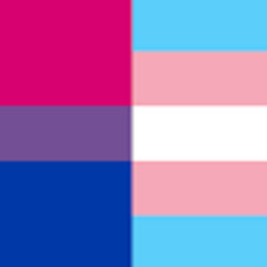 Meet your Posher, Quill